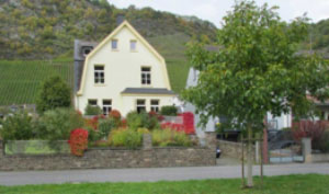 Weingut Die Traubenhüter